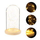 Fire Tree Silver Flower Night Light Fairy Lights in Glass Dome with