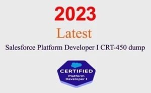 Q&R développeur plateforme certifié Salesforce GARANTI (mise à jour 1 mois) - Photo 1/1