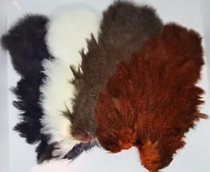 Whiting Farms Coq De Leon Hen SH with Chickabou | Speckled dyed Medium Ginger - Picture 1 of 1