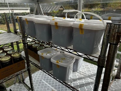 Miel de Castaño Cruda 1/2 Galón, Auténtico Sabor Dulzor a Nuez, Miel de Abeja Asesina Foto 1 de 4