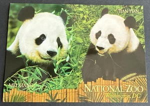 Postkarte Riesenpanda Smithsonian National Zoo ~ Washington DC - Bild 1 von 2