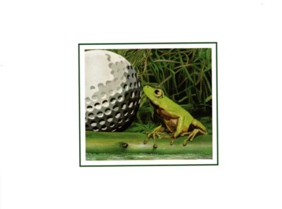 Tarjetas de notas interiores en blanco para golf rana y naturaleza mariposa - Juego de 6 Foto 1 de 4