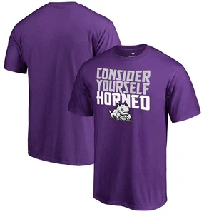 Men's Purple TCU Horned Frogs Consider Yourself Horned T-Shirt - Picture 1 of 3
