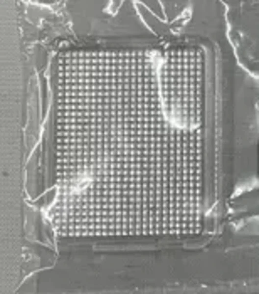 Toyota  Lexus LENS FR FOOT LAMP 55489-50010 GS300 GS400 GS430 IS200t IS250 IS300 Foto 1 de 1