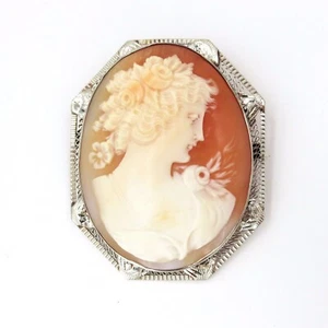 Estate Cameo Brooch and Pendant 14k White Gold - Picture 1 of 10