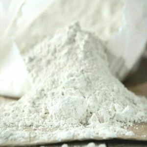 Diatomaceous Earth FOOD GRADE Fine Powder PREMIUM ORGANIC 200g - Picture 1 of 1