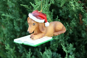 Well-Read Daschund Holiday Ornament Daschund Bas Bleu Exclusive Retired - Picture 1 of 7