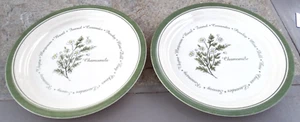 Corelle Thymeless Herbs Chamomile Salad Plates 8 1/2", set of 2 - Picture 1 of 4