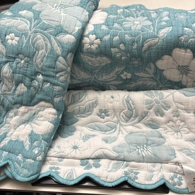 Fronhas de travesseiro Pioneer Woman Evie 20x26 3 peças zíper acolchoado reversível floral Matelassê - Imagem 1 de 4