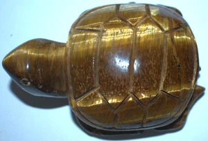 Tigerauge Meeresschildkröte 3,45"/267 Gramm - Bild 1 von 9