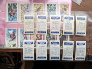 tea cards Brooke Bond TROPICAL BIRDS 1961 full set