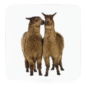 Set sottobicchieri in sughero alpaca sottobicchieri tazze bottiglie lama - Foto 1 di 5