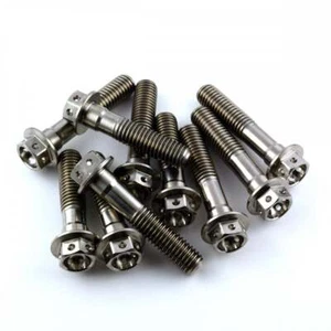 Pernos de pellizco de horquilla delanteros hexagonales Yamaha YZF-R1 04-06 Titanium Race Spec - Imagen 1 de 1