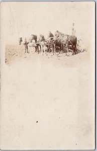 Mann betreibt Pferdewagen Landwirtschaft pflügt Felder RPPC Echtfoto Postkarte - Bild 1 von 2