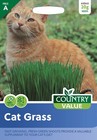 Cat Grass Seeds To Improve Your Cats Health by Country Value FREE UK DELIVERY