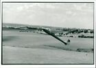 Aircraft Gliders. - Vintage Photograph 1162243