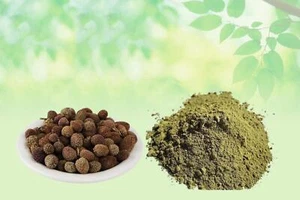 Gorakhmundi Powder-Sphaeranthus Indicus-Raw Herbs-Gorakh mundi-Single Herbs - Picture 1 of 8