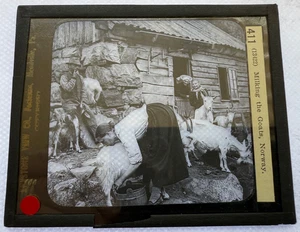 KEYSTONE MAGIC LATERNE SLIDE 411 MIKING THE GOATS, NORWEGEN 1920er - Bild 1 von 2
