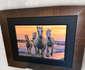 Peter Rik Photo "Running Free" Edition Autographed ED200 Framed - Picture 1 of 10