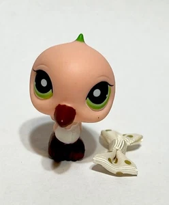 Littlest Pet Shop #343 Hummingbird - Picture 1 of 3