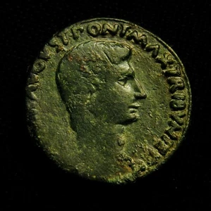 Casa rodante Æ Moneyers Series As Emperor Augusto P LVRIVS AGRIPPA 9,41 grs 27-8 mm 7 aC   - Imagen 1 de 3
