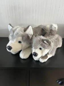 Keel Toys Storm Husky Dog Plush Bundle With Blue Collar And Name Tag Small/med - Picture 1 of 10