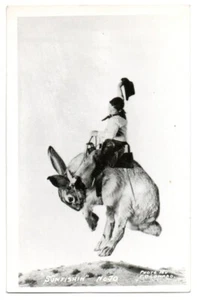 Exaggeration RPPC Postcard Conard Number 70 Young Cowboy Riding Large Rabbit - Picture 1 of 2
