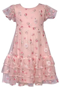 NEW Bonnie Jean Girls Size 8 "ROSE PINK EMBROIDERED" Floral Mesh Dress NWT - Picture 1 of 3