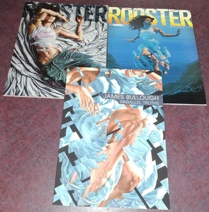 James Bullough Parallel Truths 2020 edición limitada firmado #187/200 libro de arte Rooster Mags - Imagen 1 de 22