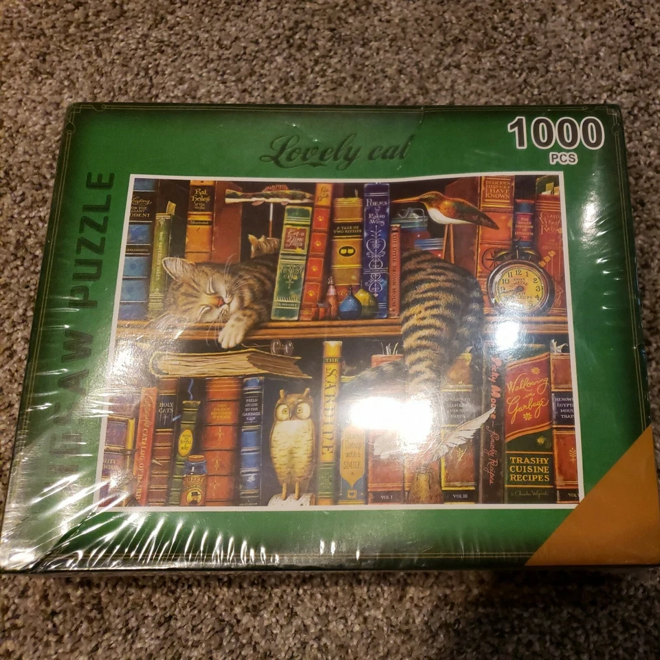 DCBA HGFE Orange Blue Rainy Night Park Walk 1000 Piece Jigsaw Puzzle K-3313