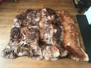 Spiced Brown Real Sheepskin Rug Extra Soft Thick Genuine Natural Huge 130-140cm