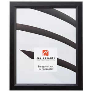 Craig Frames Economy, 16x24 0.875 Inch Wide Ebony Black Hardwood Picture Frame - Picture 1 of 8