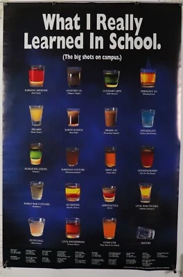 what i really learned in school Alcohol Liquor poster 23.25" X 25.50" NOS (b840) - Image 1 of 3
