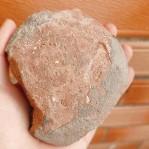 Fósiles de huevos de dinosaurio de la era jurásica - Imagen 1 de 8