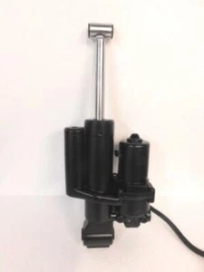 Rebuild Service!!! Suzuki 40hp 50hp Trim Tilt 1999-2000 DF40 DF50 - Picture 1 of 2