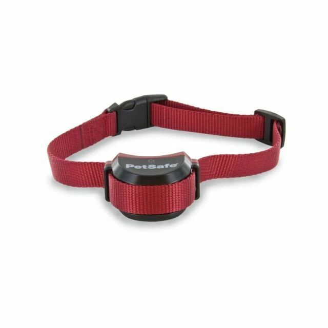 PetSafe Stay+Play Wireless Stubborn Dog Fence Collar
