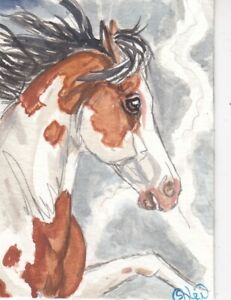 ACEO original Watercolor Art Card Horse bay tovero PInto Pony lightning storm 