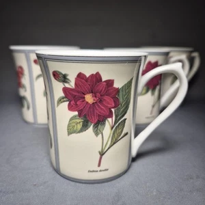 4x Elizabethan Queen's Botanica Fine Bone China Coffee Tea Mugs Hot Roses Dalhia - Picture 1 of 24