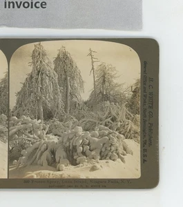 Spray Frozen Luna Island Cascate del Niagara H.C. Bianco Stereoview - Foto 1 di 2