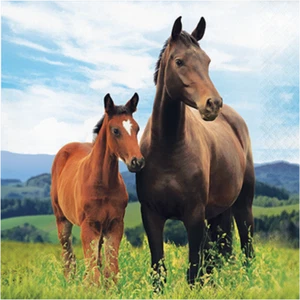 Melbourne Cup Party Supplies Horse and Pony Lunch Napkins 16 Pack Paper 2 Ply - Picture 1 of 1
