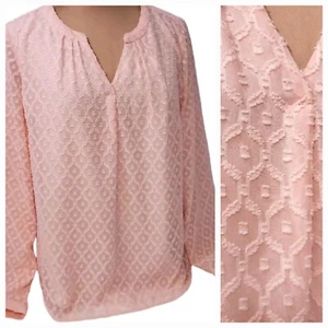 Talbots mittelgroße rosa koralle Bluse geprägt transparent Überzug Whimsifairy Corpcore - Bild 1 von 10