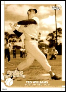Ted Williams 2020 Topps Opening Day Spring has Sprung 5x7 Gold #SHS-3 10/10 Red 