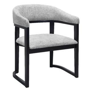 Anasa Collection Dining Chair Gray - Picture 1 of 3