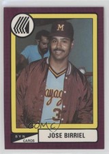 1988-89 BYN Puerto Rico Winter League Jose Birriel #66