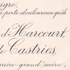 Marie Augusta D'Harcourt-Olonde Armand Charles De La Croix De Castries 1892
