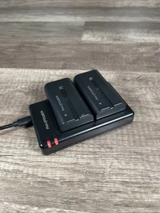 Ravpower Charger With 2 Sony NP-F550 Model To-BC006 Batteries - Picture 1 of 4