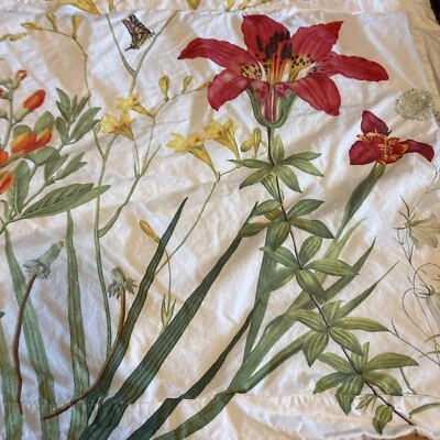 Pottery Barn Blanco Botánico Floral Rojo Lirio Algodón Estándar Falsa Uno Verde (a21 Foto 1 de 4