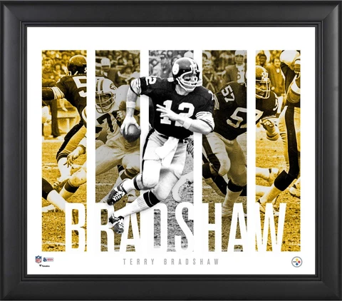 Terry Bradshaw Pittsburgh Steelers Framed 15x17 Player Panel Collage Cover