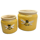 Special T Ceramic Pots Small Set of 2 Bumblebee Herb Plant Flower Windowsill