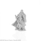 Reaper Miniatures 28mm Fantasy  77743 Alandin, Elf Paladin